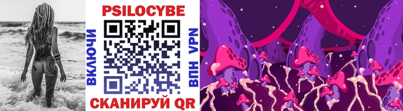 цена   Монино  Галлюциногенные грибы Cubensis 